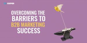 B2B Marketing Success